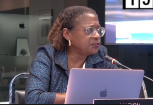 “Escucho que hay voluntad en el papel, pero no escucho nada basado en algo concreto”. La CIDH cuestiona al Estado peruano por la ausencia de medidas concretas para proteger a las mujeres defensoras de la Amazonía.