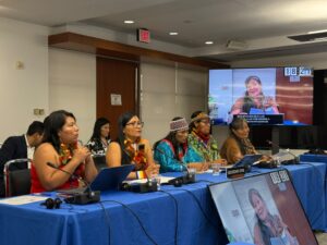Tras denuncia de lideresas indígenas, CIDH cuestiona al Estado peruano por la ausencia de medidas concretas para proteger a mujeres defensoras de la Amazonía