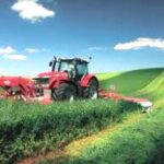 Pidamos al Señor de los Milagros por la gobernabilidad del Perú