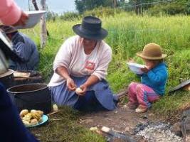 Cultivos Peruanos y Seguridad Alimentaria