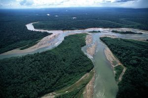 La REPAM llama a una acción urgente para evitar tragedia en la Amazonia