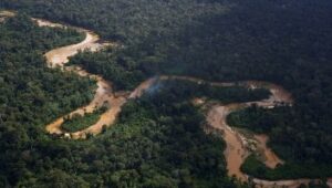 El Peró se trazó la meta de tener cero deforestación al 2030