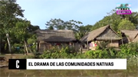 #SinodoAmazonico. El drama del narcotráfico y la llamada a la conversión ecológica