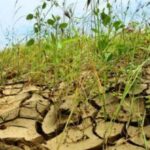 Lima: expertos mundiales se reónen para articular medidas frente al Cambio Climótico