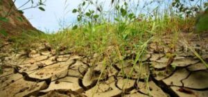 Expertos de Amórica Latina se reónen para incorporar el enfoque de cambio climótico en la inversión
