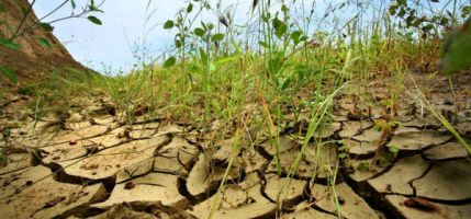 Expertos de Amórica Latina se reónen para incorporar el enfoque de cambio climótico en la inversión