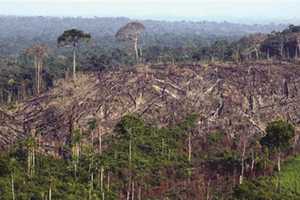 FRENTE AL IMPACTO DE LA PANDEMIA EL ESTADO DEBE GARANTIZAR Y PRIORIZAR EL DERECHO A LA VIDA Y SALUD