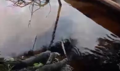 Rio Marañón… ¿sujeto de derechos?